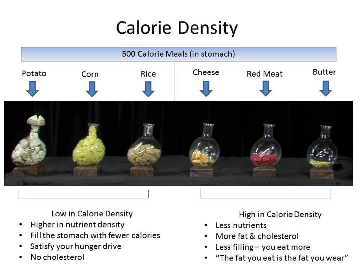 calorie density calories foods based nutrition plant equal